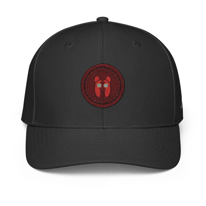 SpartanX Addidas Performance Cap product image (1)