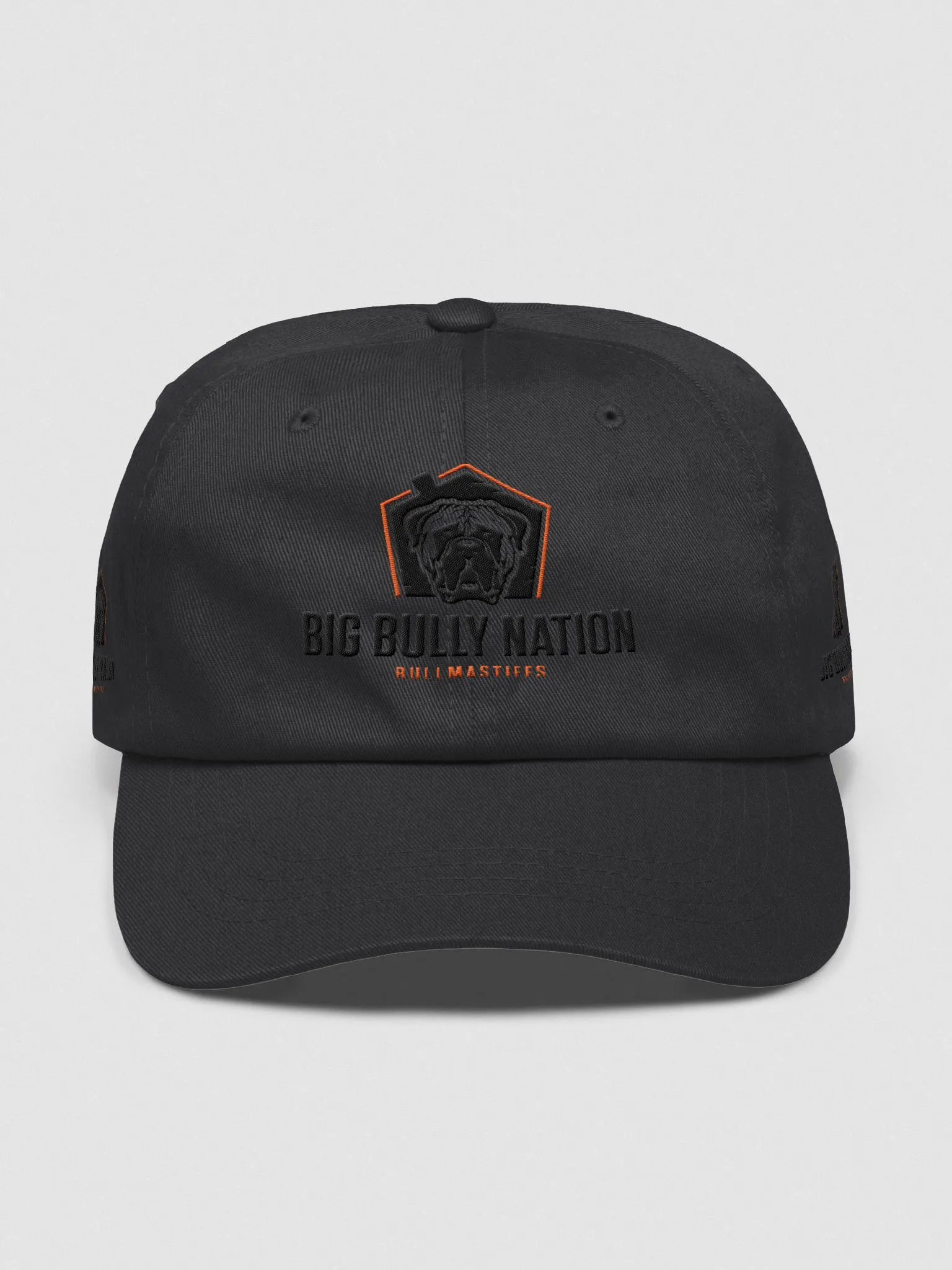 BBN Logo 1 Dad Hat product image (7)