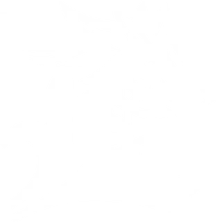 DIVINESIATV