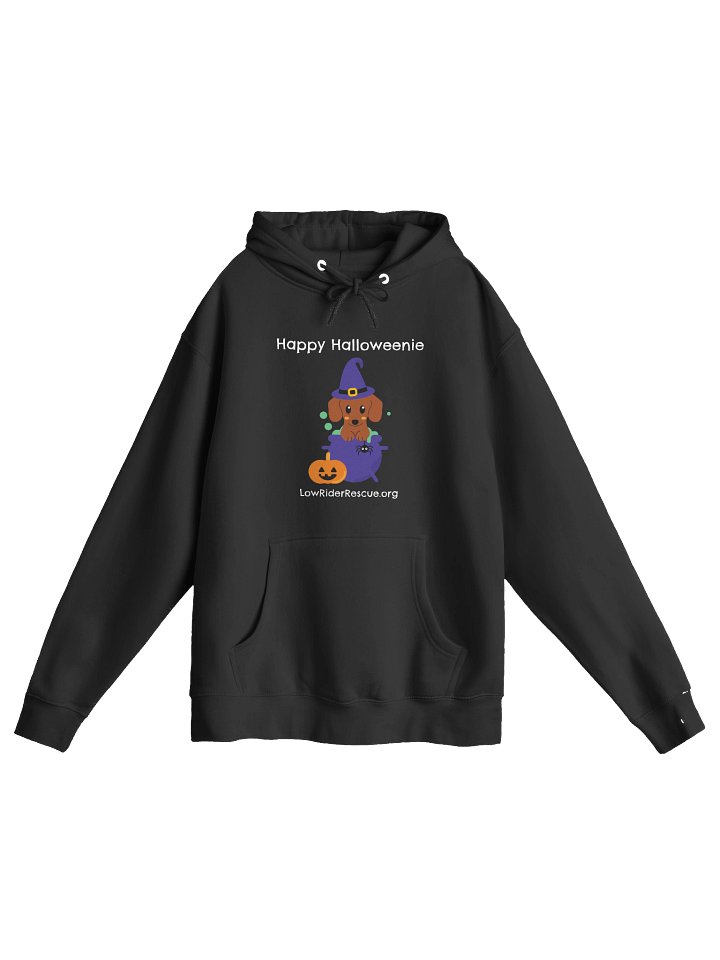 Happy Halloweenie Dachshund Witch Hoodie product image (1)