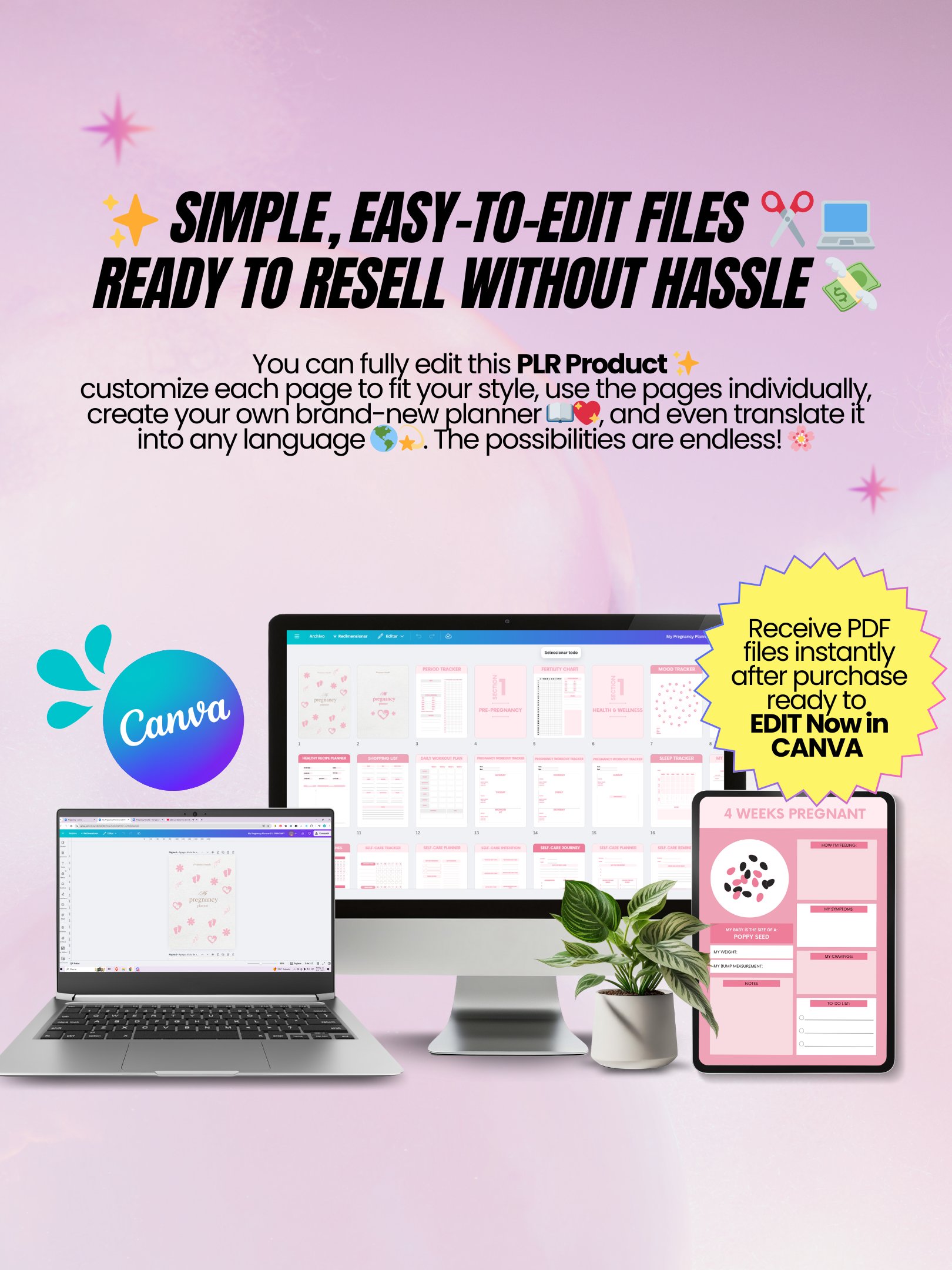 Pregnancy eBook Bundle | 7 Digital Products for New Moms | MRR PLR Bundle product image (10)