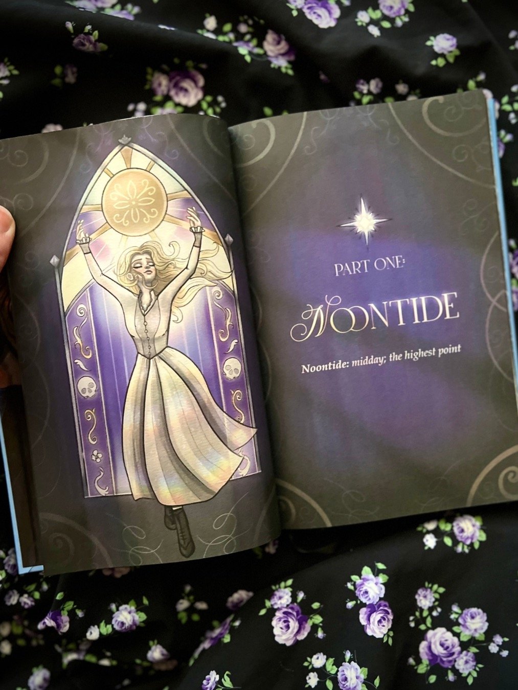 Eventide Illustrated Edition (Signed) product image (5)