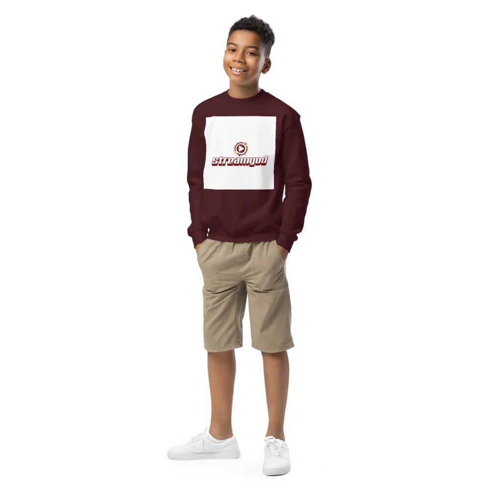 maroon youth STREAMGOD sweater product image (1)