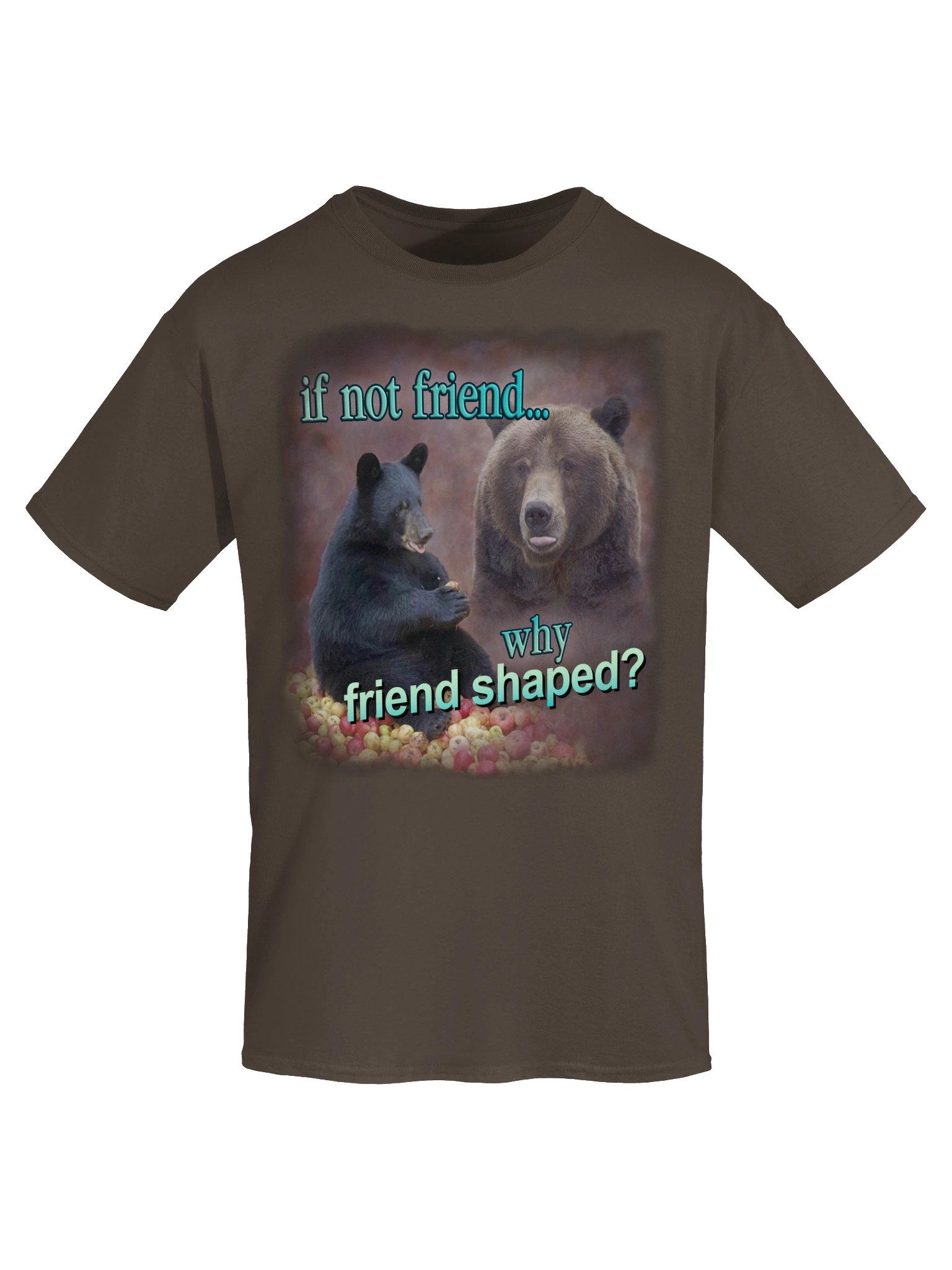 If Not Friend, Why Friend Shaped Bear T-shirt product image (37)
