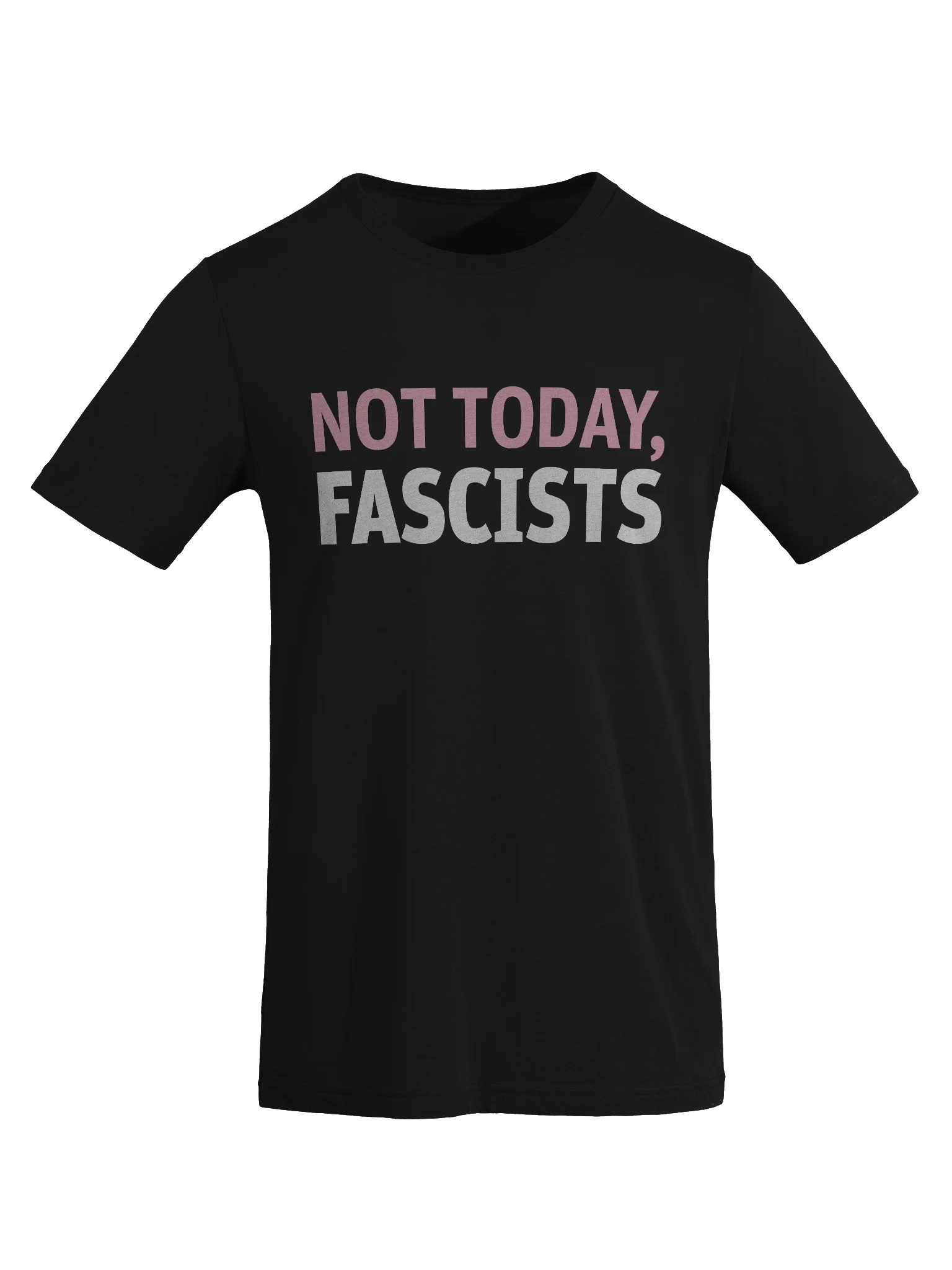 Not Today, Fascists Unisex T-Shirt product image (8)