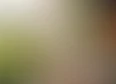 Alocasia's tag thumbnail