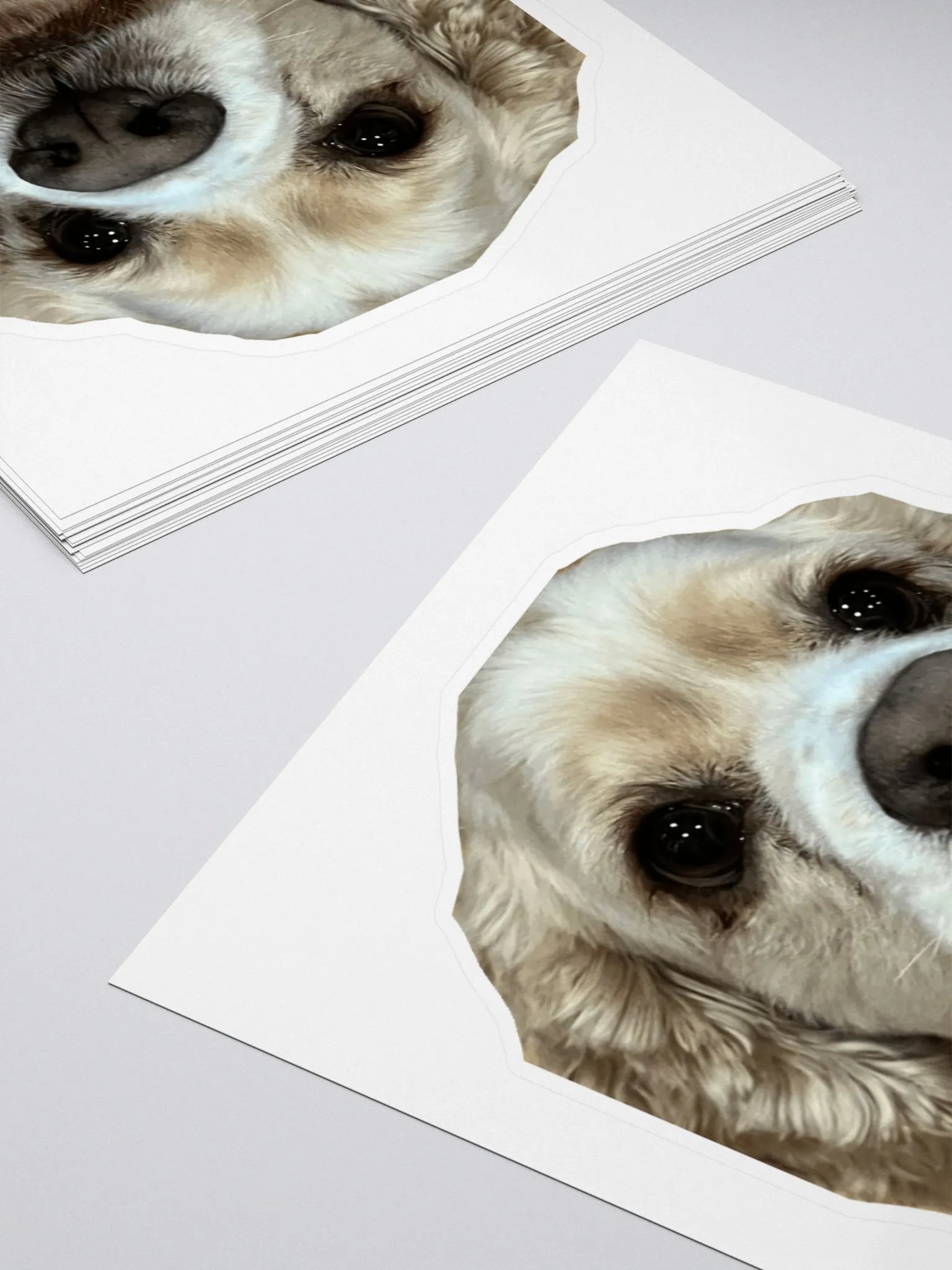 WESLEY STICKER!! product image (4)