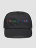 Pride 365 Cap