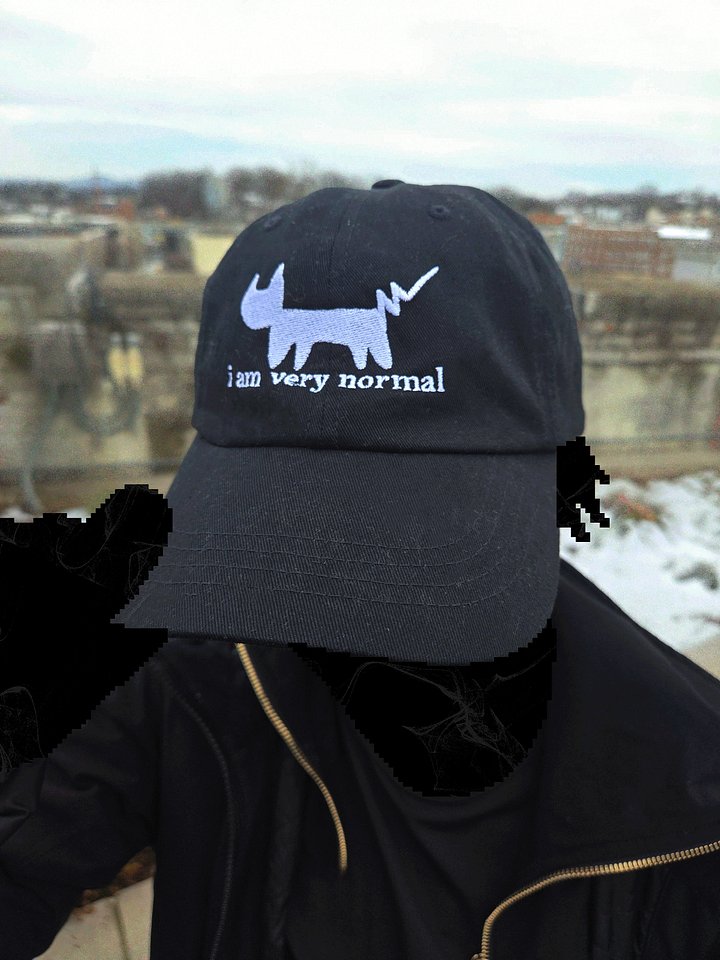 normal.hat product image (2)