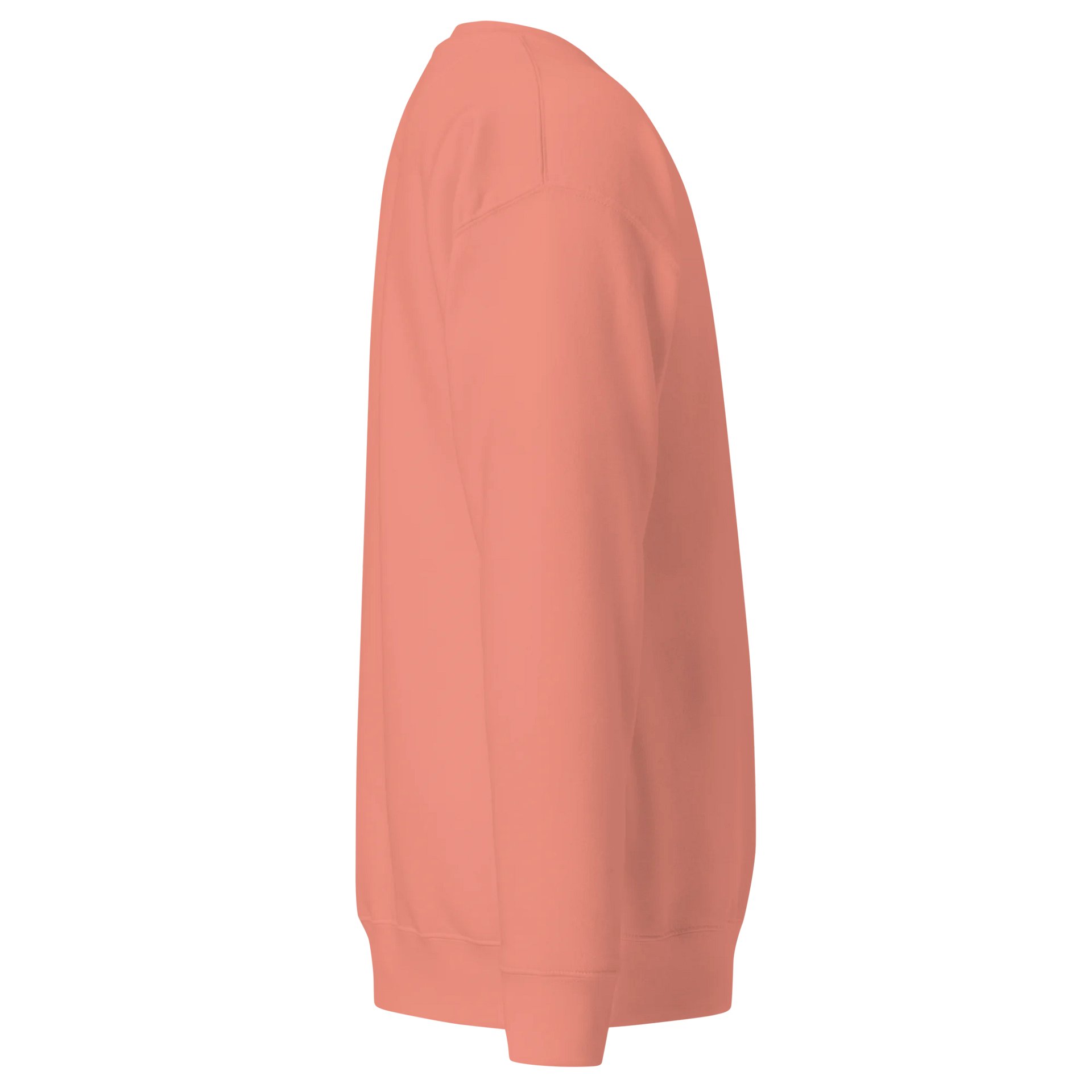 The Birds Keep Singin Premium Sweatshirt product image (7)