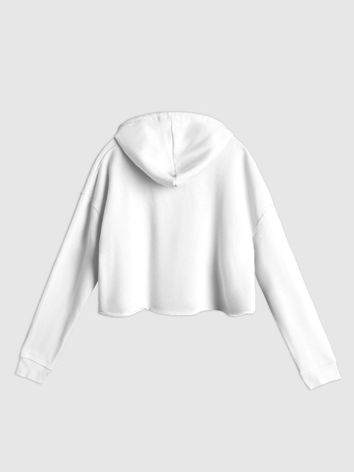 Three Year Silver Crop Hoodie product image (9)