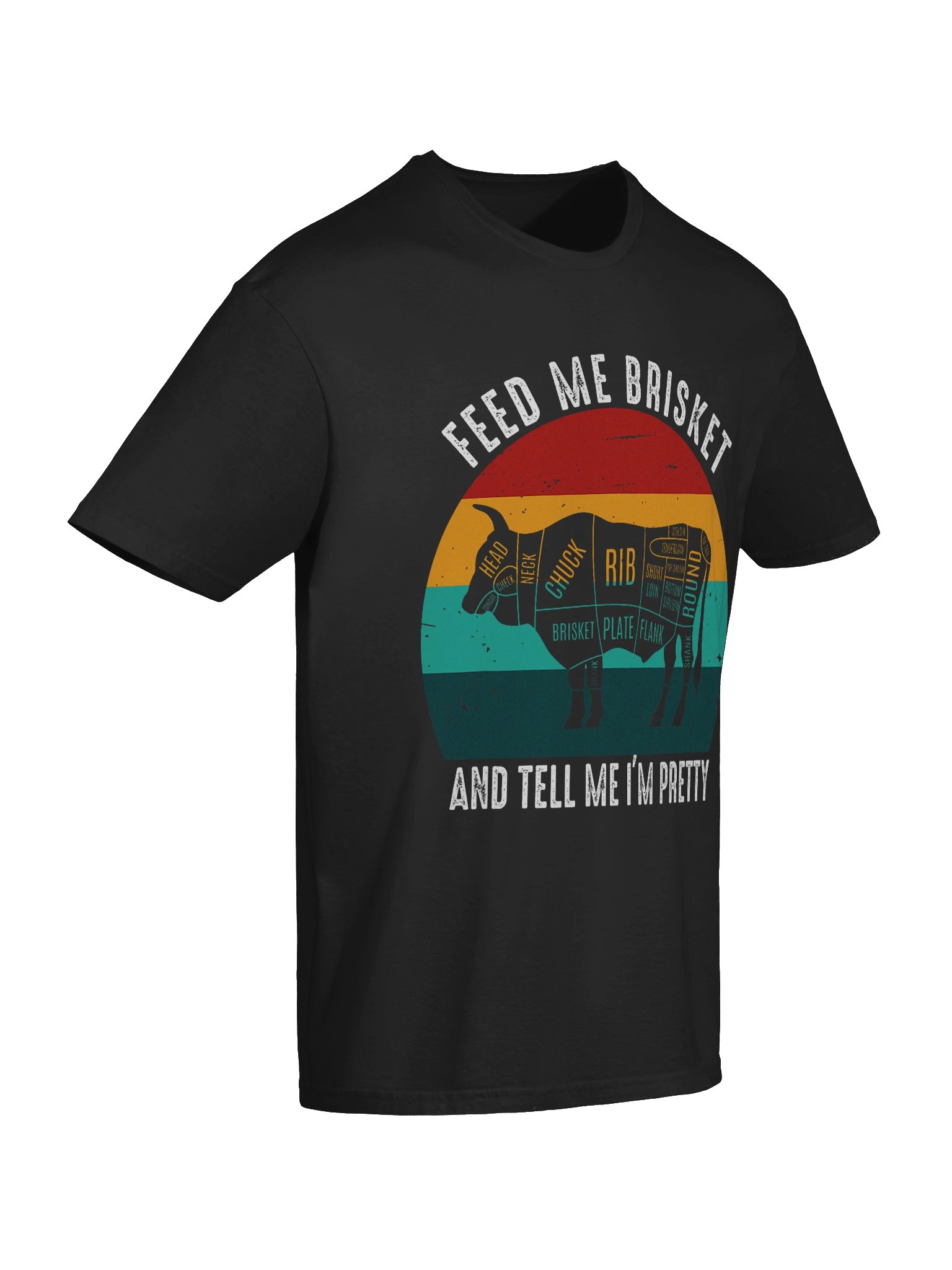 Feed Me Brisket and Tell Me I’m Pretty (Retro Sunset) – Gildan Softstyle Unisex T-Shirt product image (7)