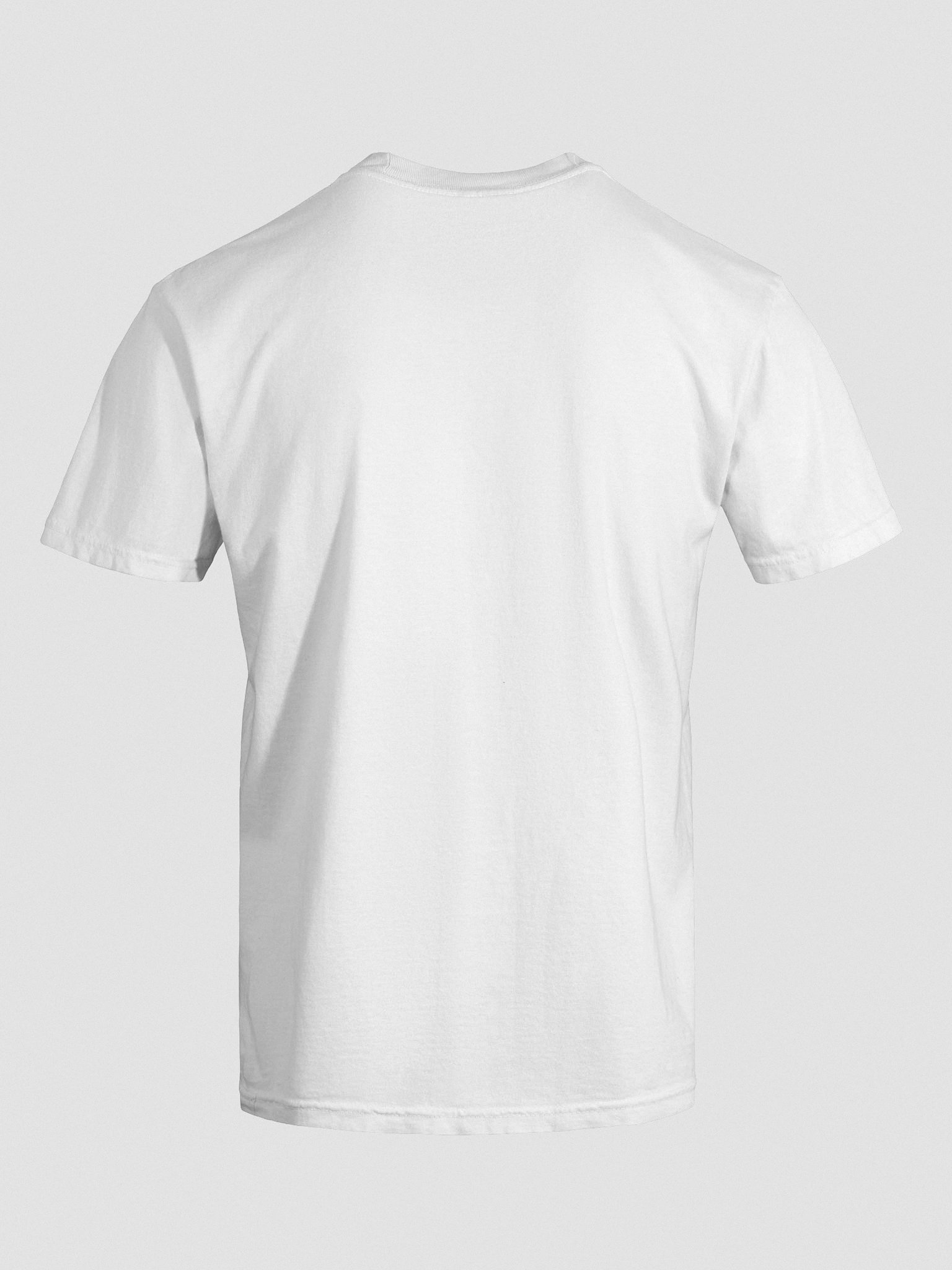 embroidered men t-shirt ("men" as in it literally says men) product image (12)