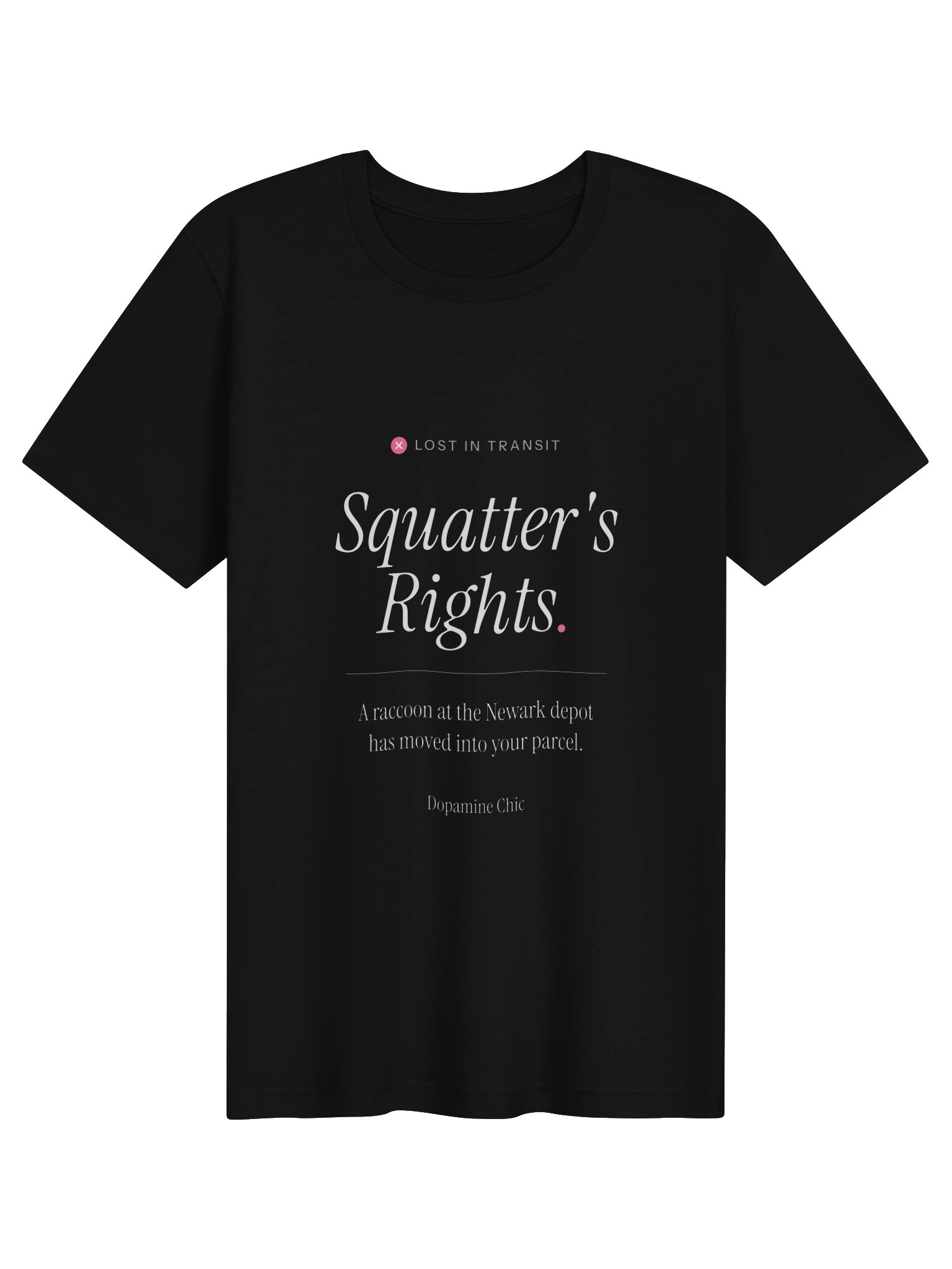 Squatter's Rights product image (1)
