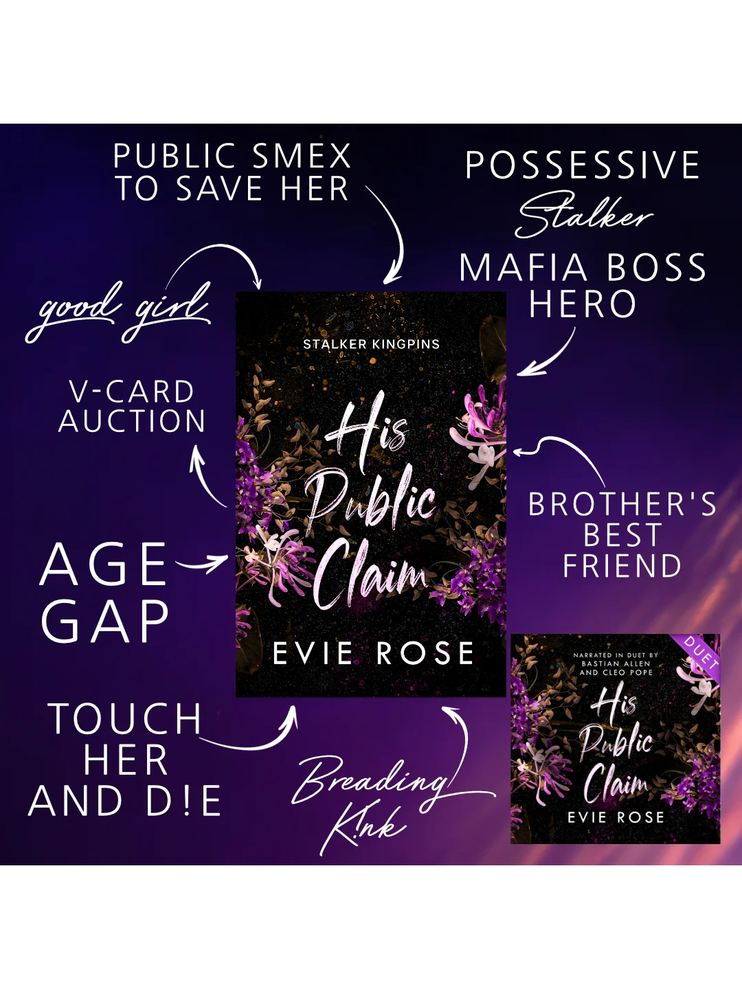 His Public Claim - Duet Audiobook product image (2)