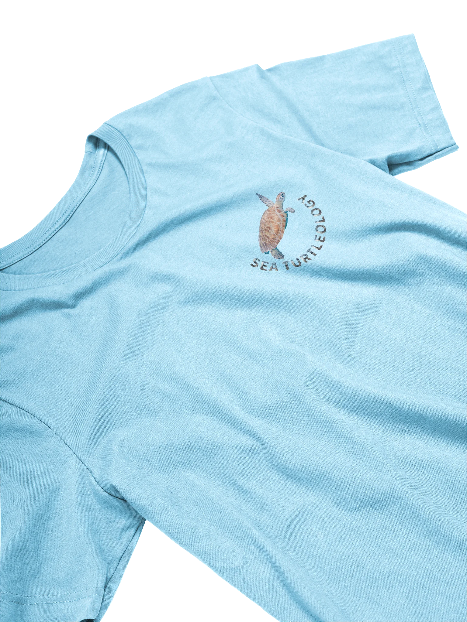 sea Turtleology product image (17)