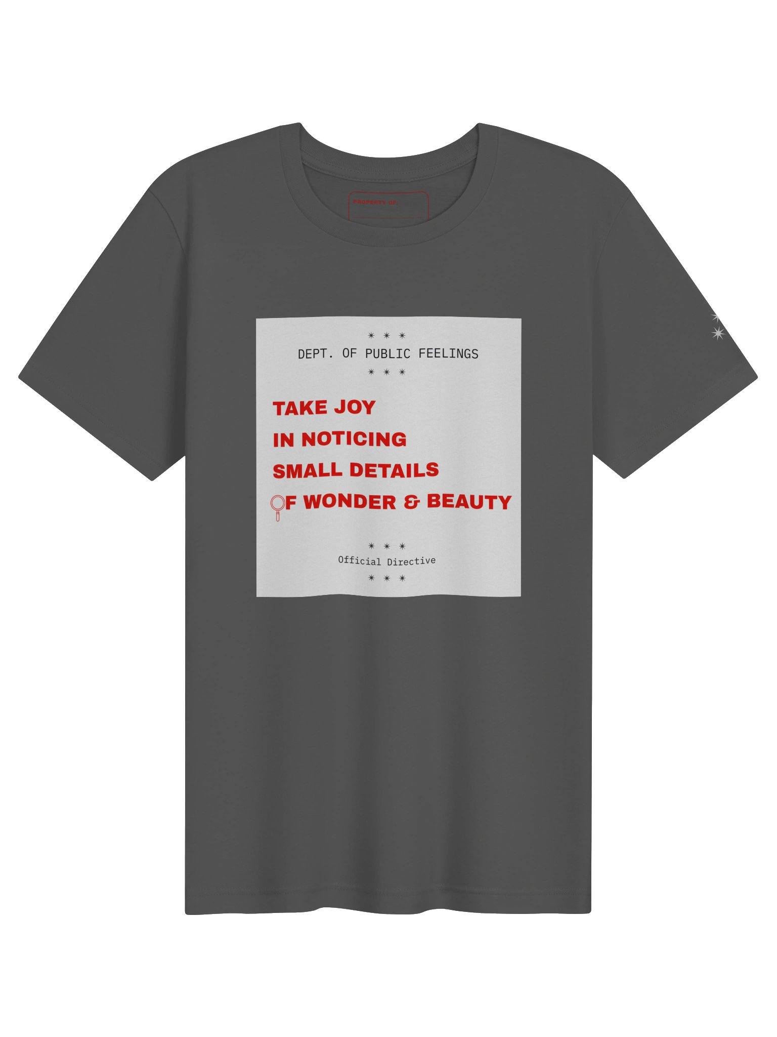Take Joy in Noticing Small Details of Beauty and Wonder Tee product image (5)
