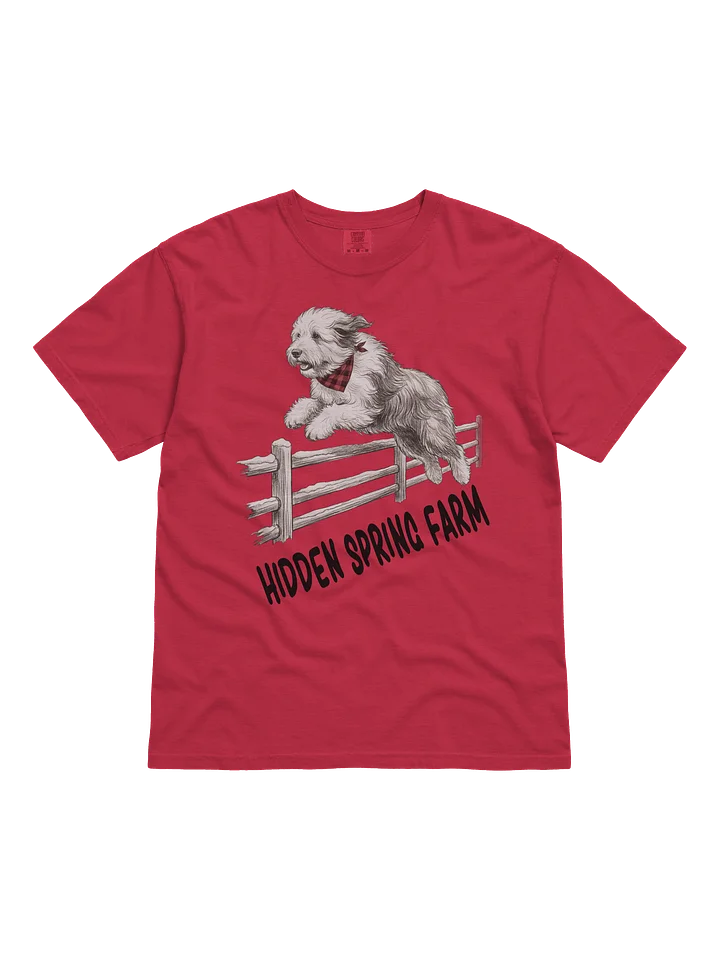 Leap of Joy HSF T-Shirt product image (1)