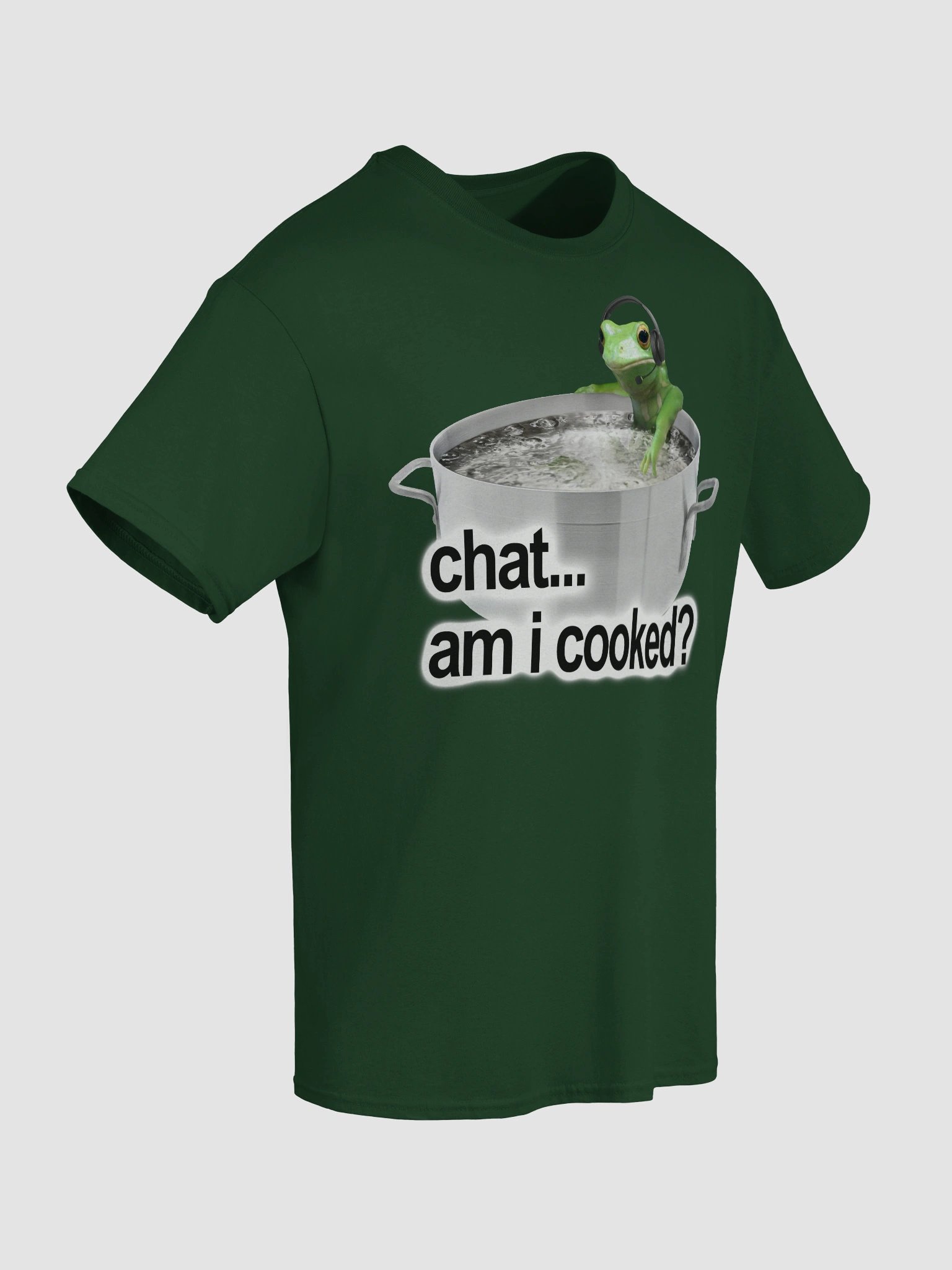 Chat Am I Cooked Frog T-shirt product image (8)