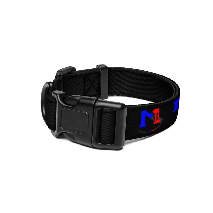Collar product image (1)
