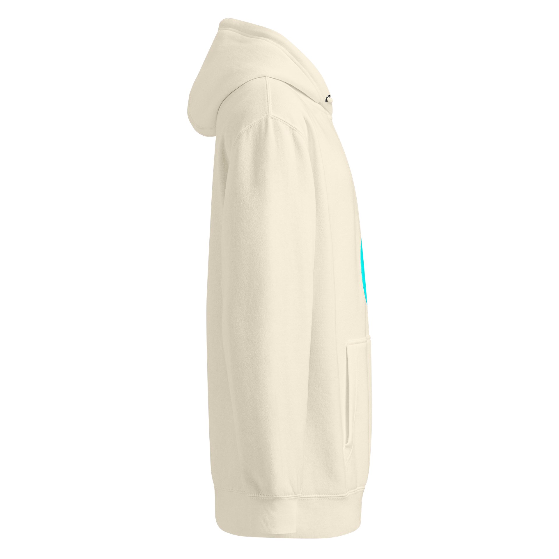 Rainbow 10 Pullover Hoodie product image (4)