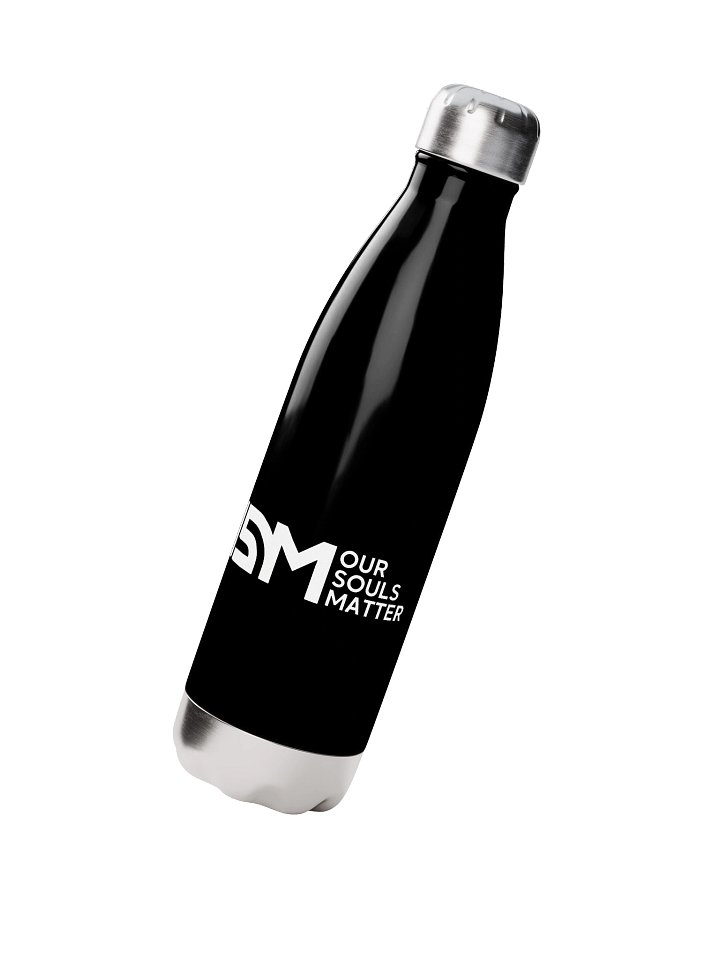 Stainless Steel Water Bottle product image (2)