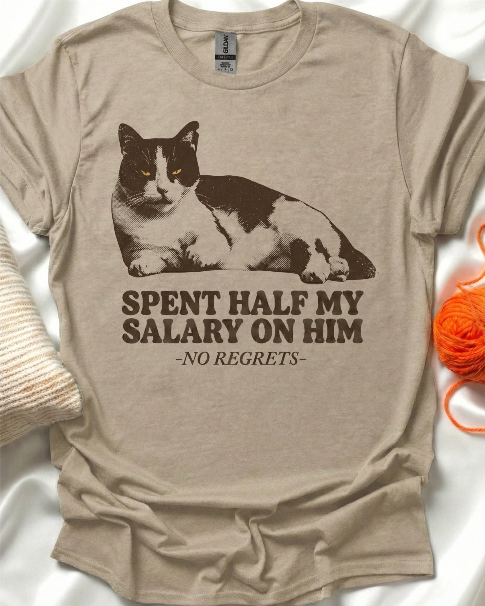 Spent My Salary Cat T-Shirt product image (1)