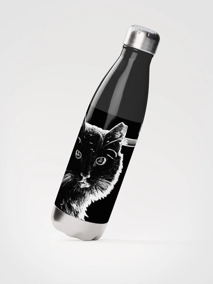 Cursed Kitty Water Bottle product image (3)