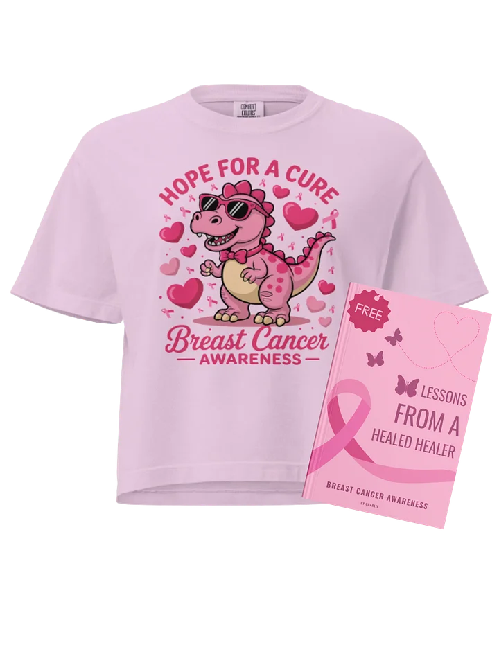 Pink Dinosaur Breast Cancer Support Hope for a Cure Heavyweight Boxy T-Shirt + Free Ebook product image (1)