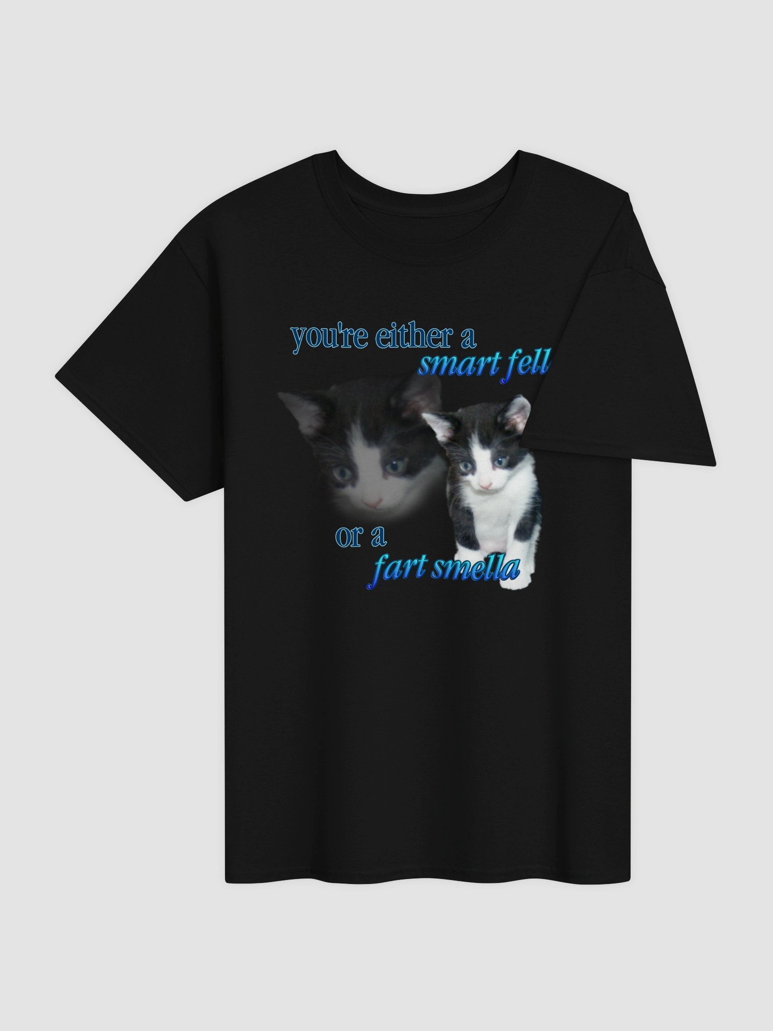 Smart Fella or a Fart Smella - Cat T-shirt product image (36)