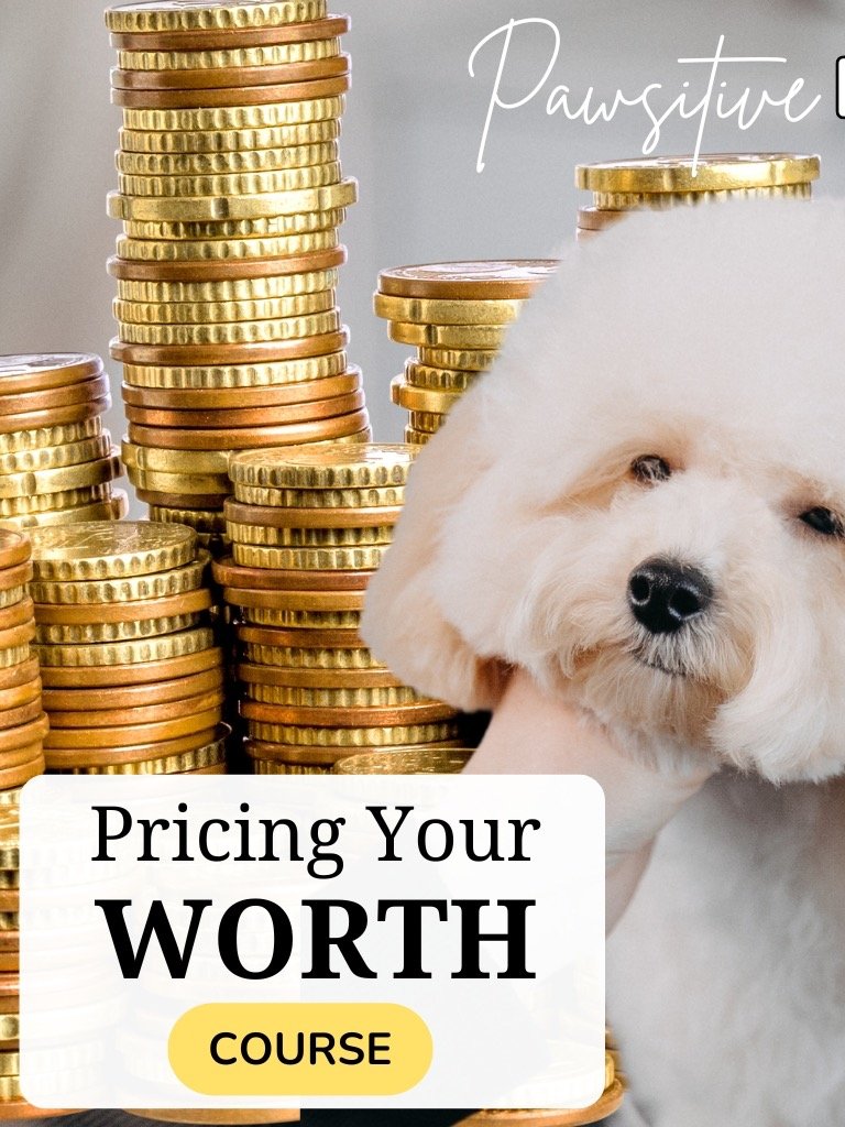 LESSONS & COURSES! Start, Scale & Thrive product image (4)