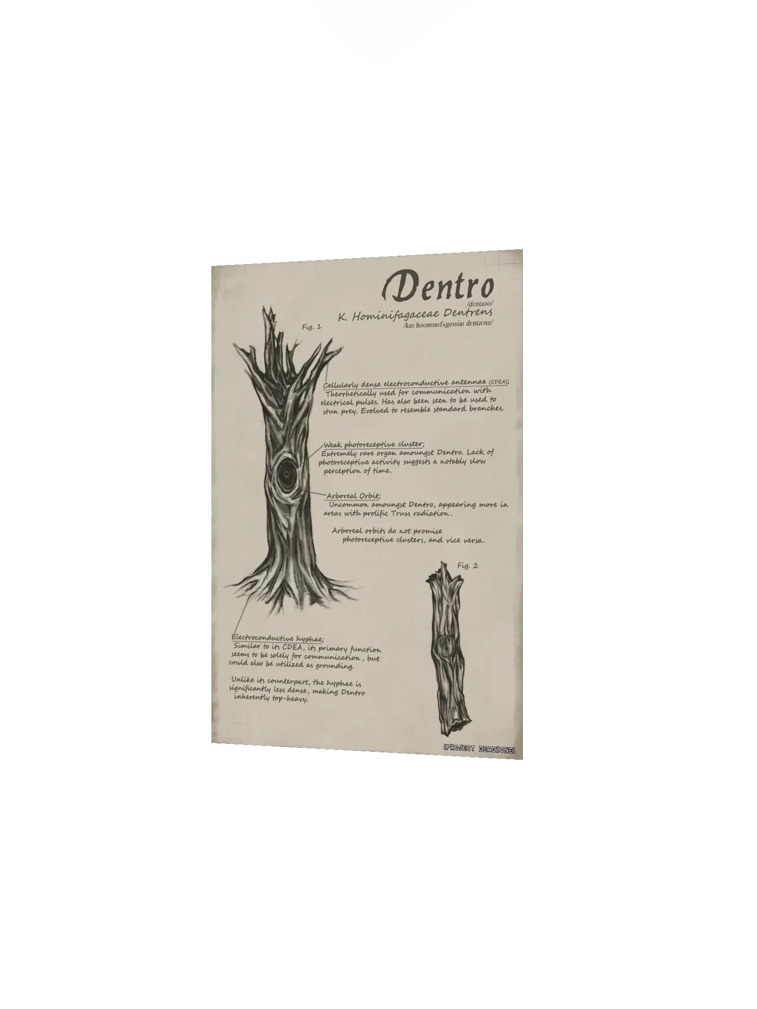 Dentro Poster product image (2)