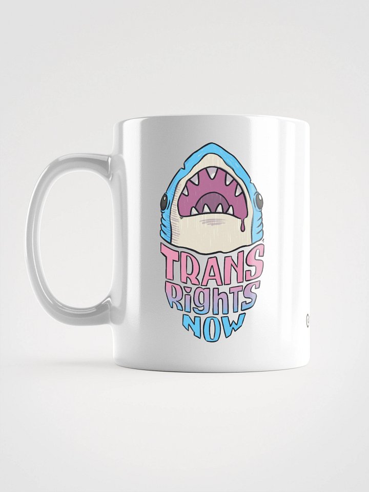 mug : trans rights now product image (1)