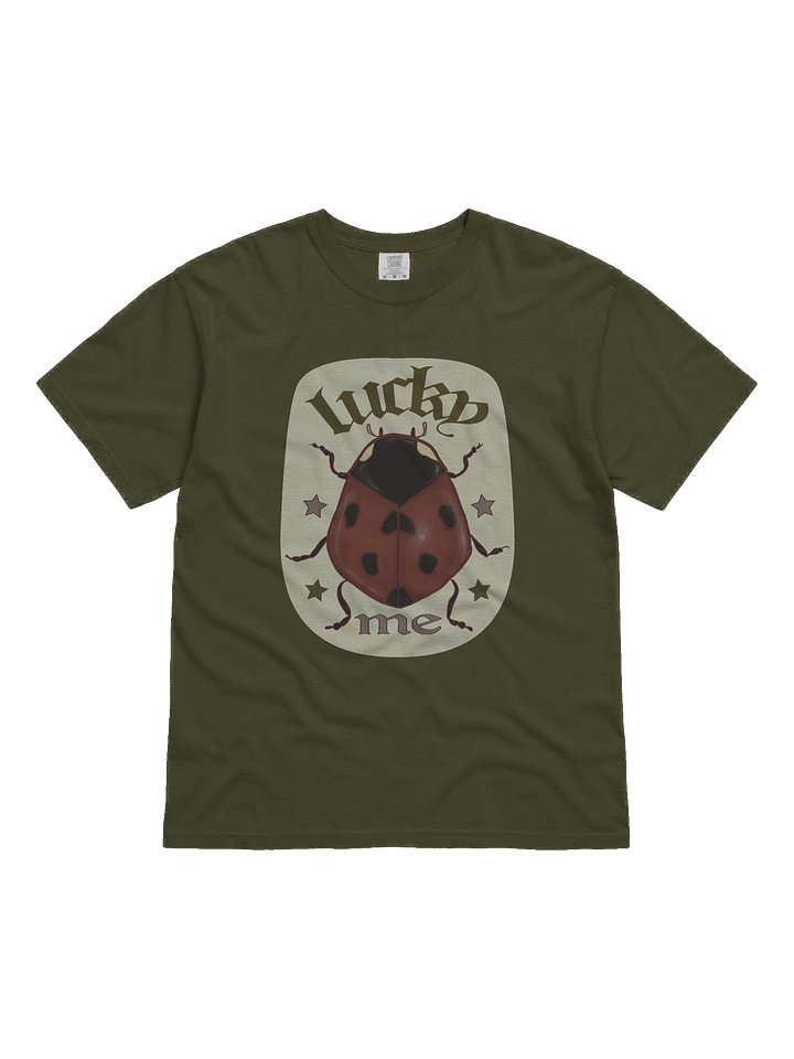 Lucky Me Ladybug product image (1)