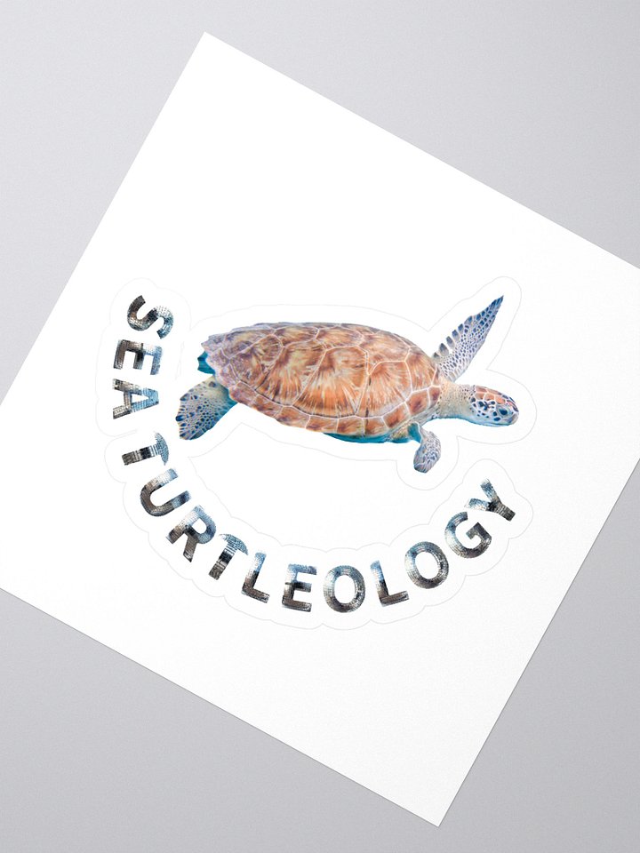 Sea Turtleology product image (2)