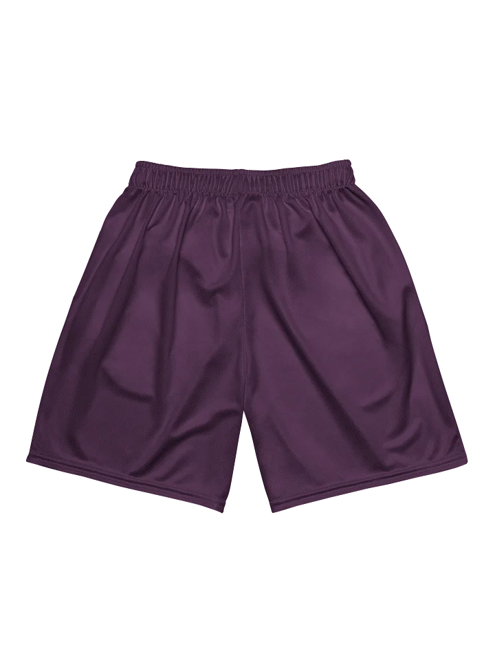 Barrio de Colores FC Away Shorts product image (2)