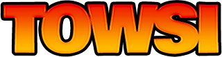 TOWSI