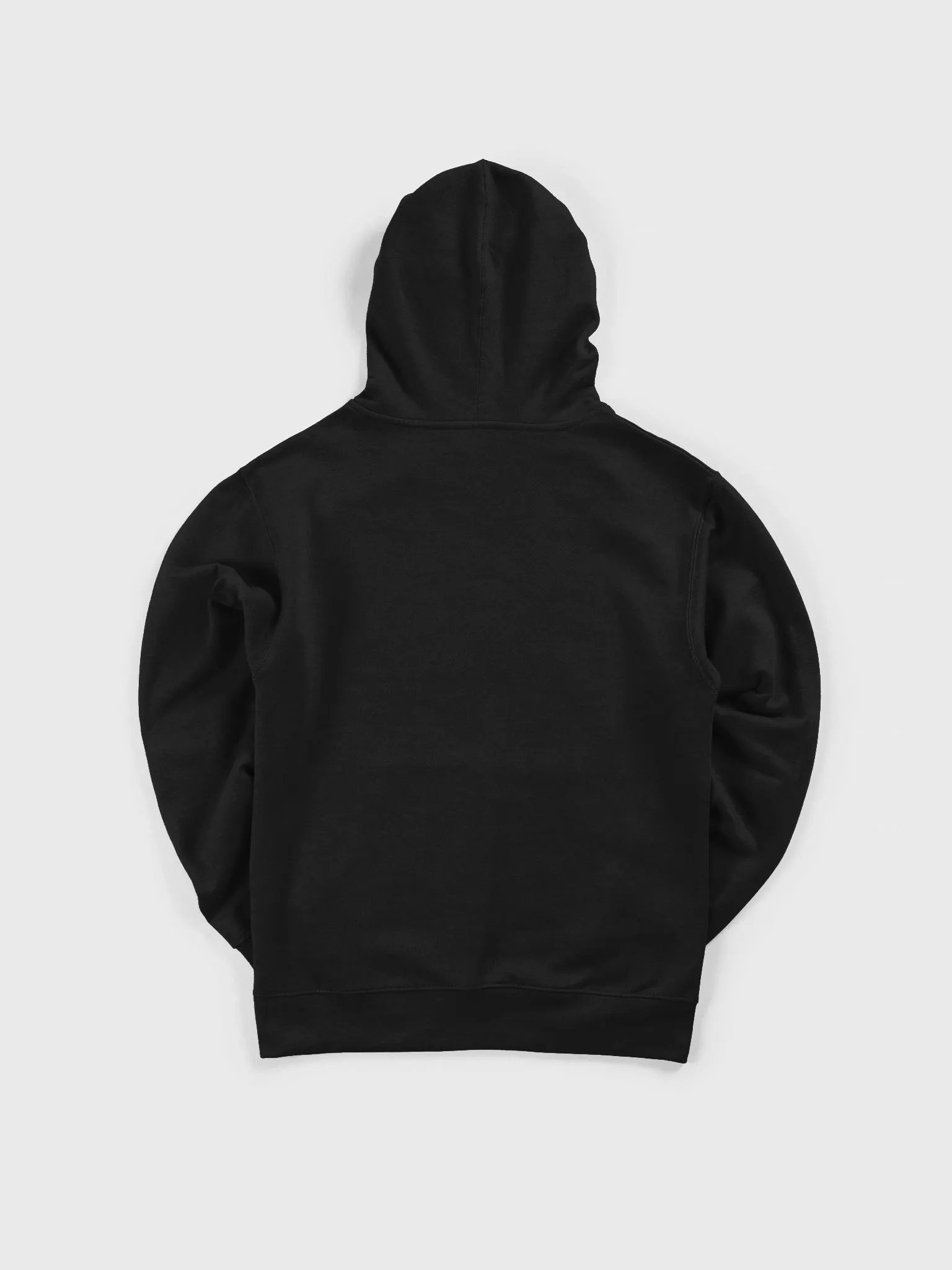 Retired LOOT HOODIE - Members Only Item product image (3)