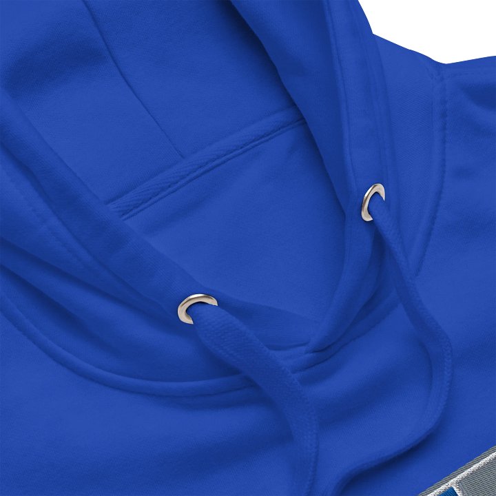 Core 313 Hoodie #1 product image (2)