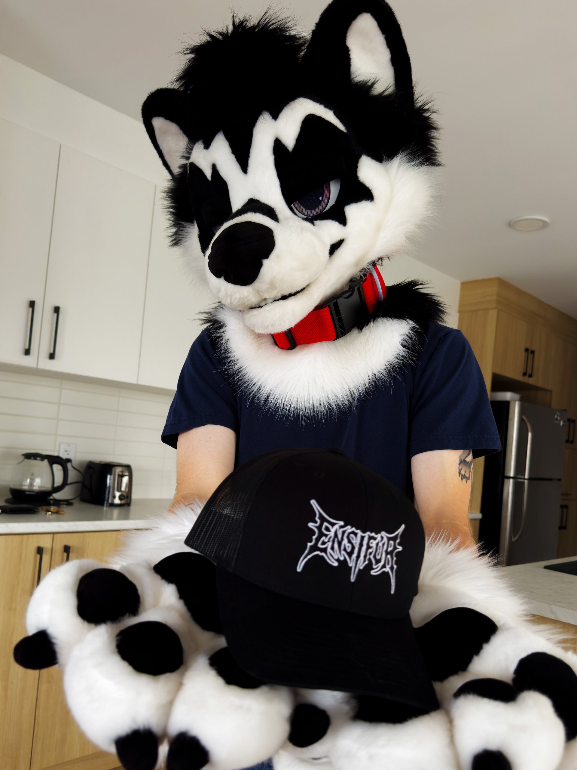 ENSIFUR CAP product image (3)