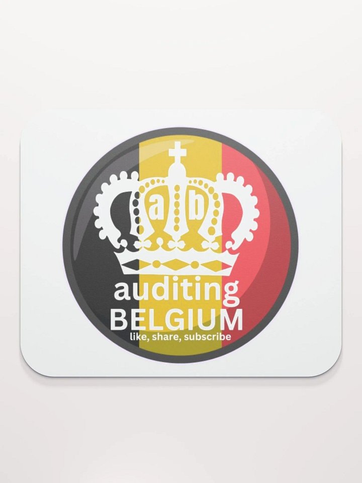 AUDITING BELGIUM product image (2)
