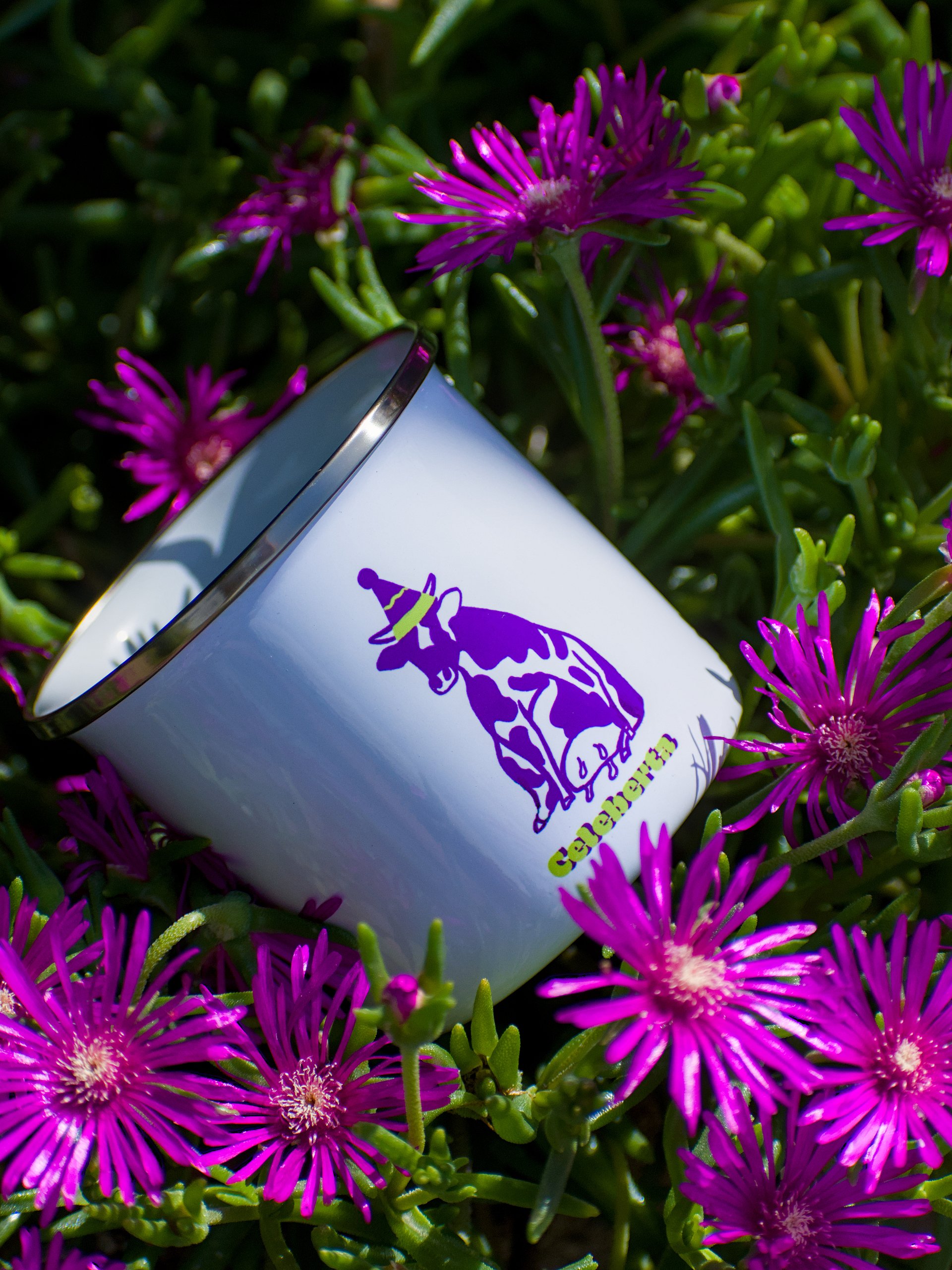Celeberta - Hiking Mug product image (1)