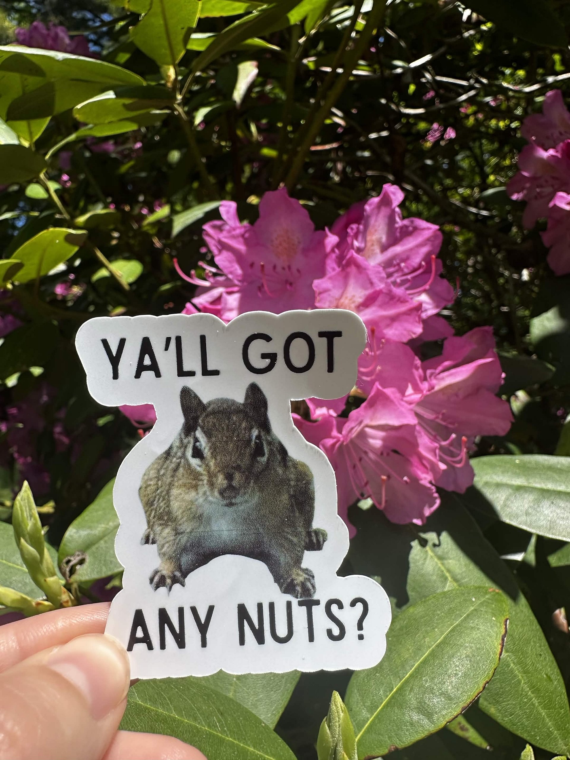 Got Nuts? Sticker product image (1)