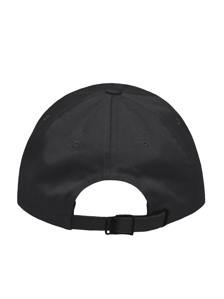 Embroidered hat product image (2)