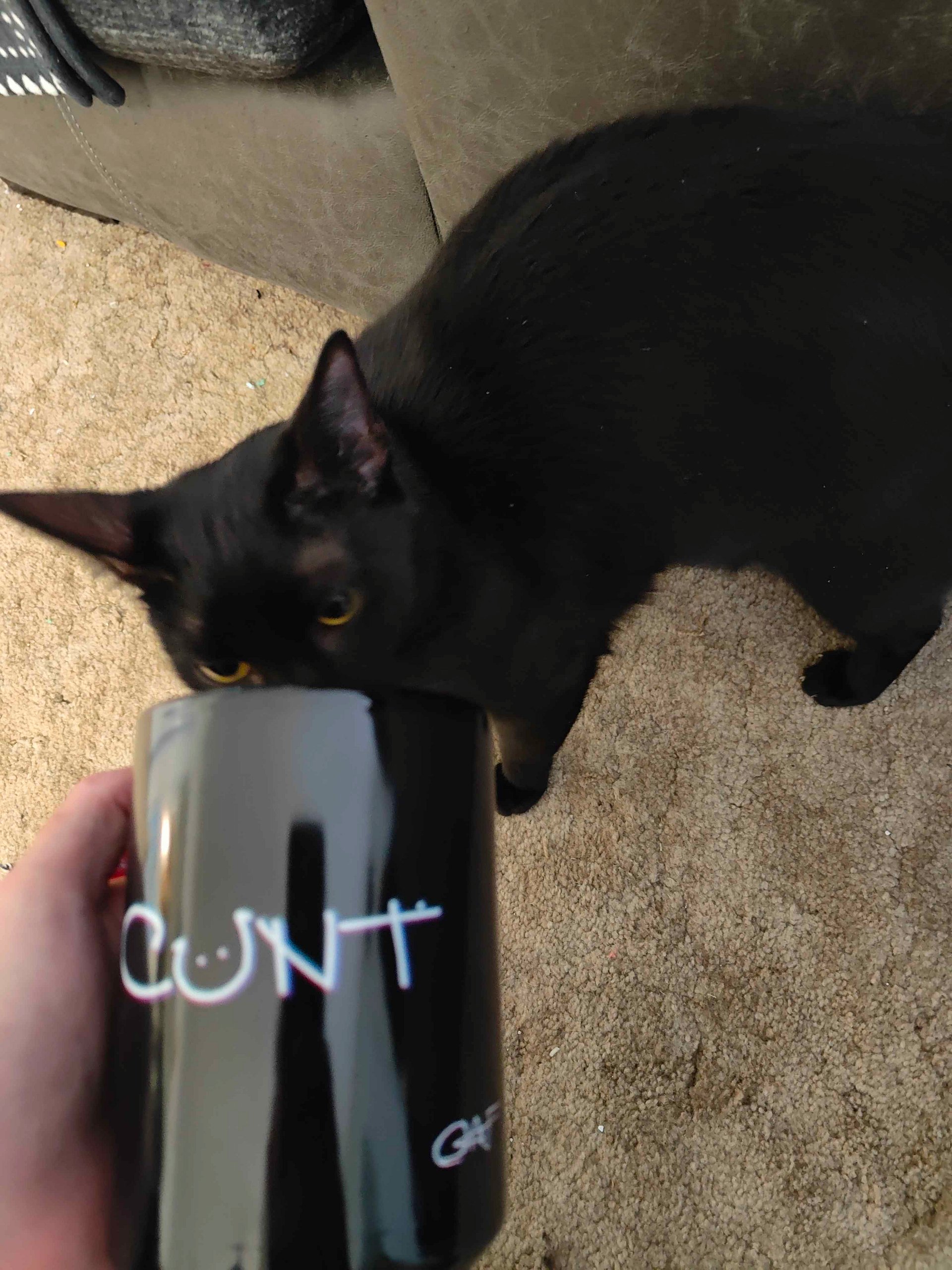 C*nt Mug product image (9)