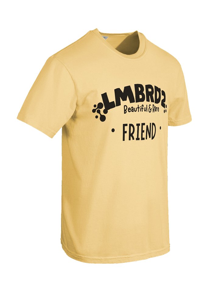 LMBRD2 Comfort T-Shirt -FRIEND product image (46)