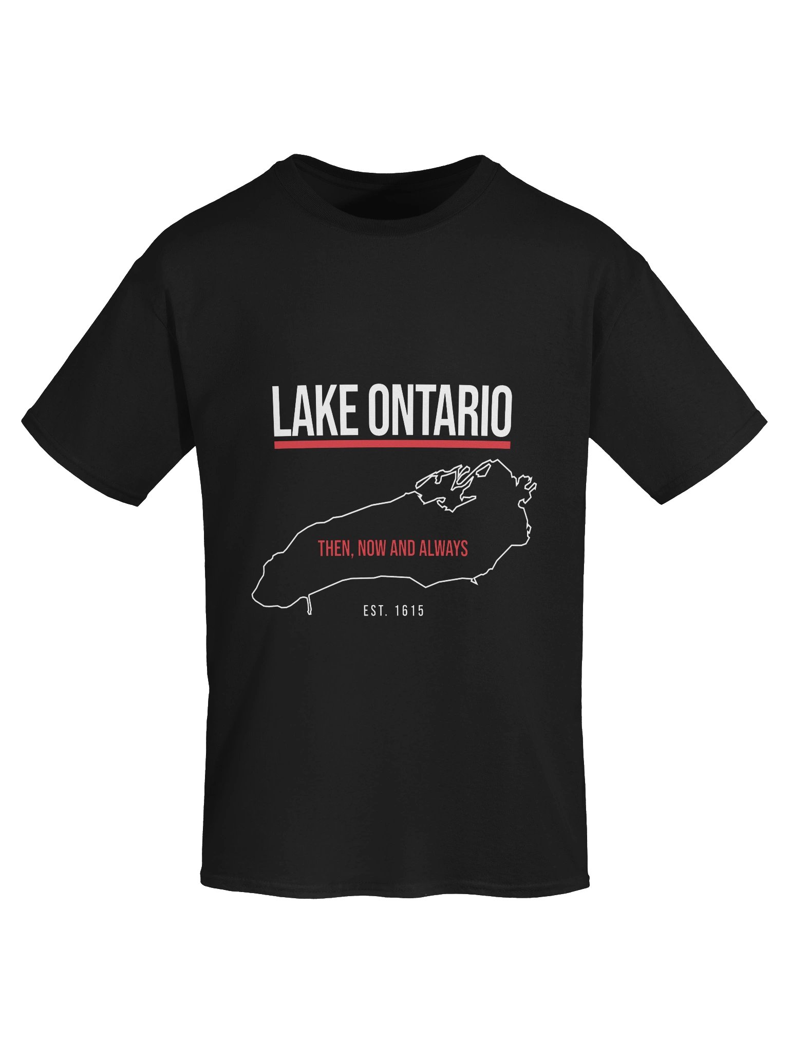 Lake Ontario Graphic Tee | Heavyweight Canadian Streetwear product image (13)