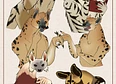 Character's tag thumbnail