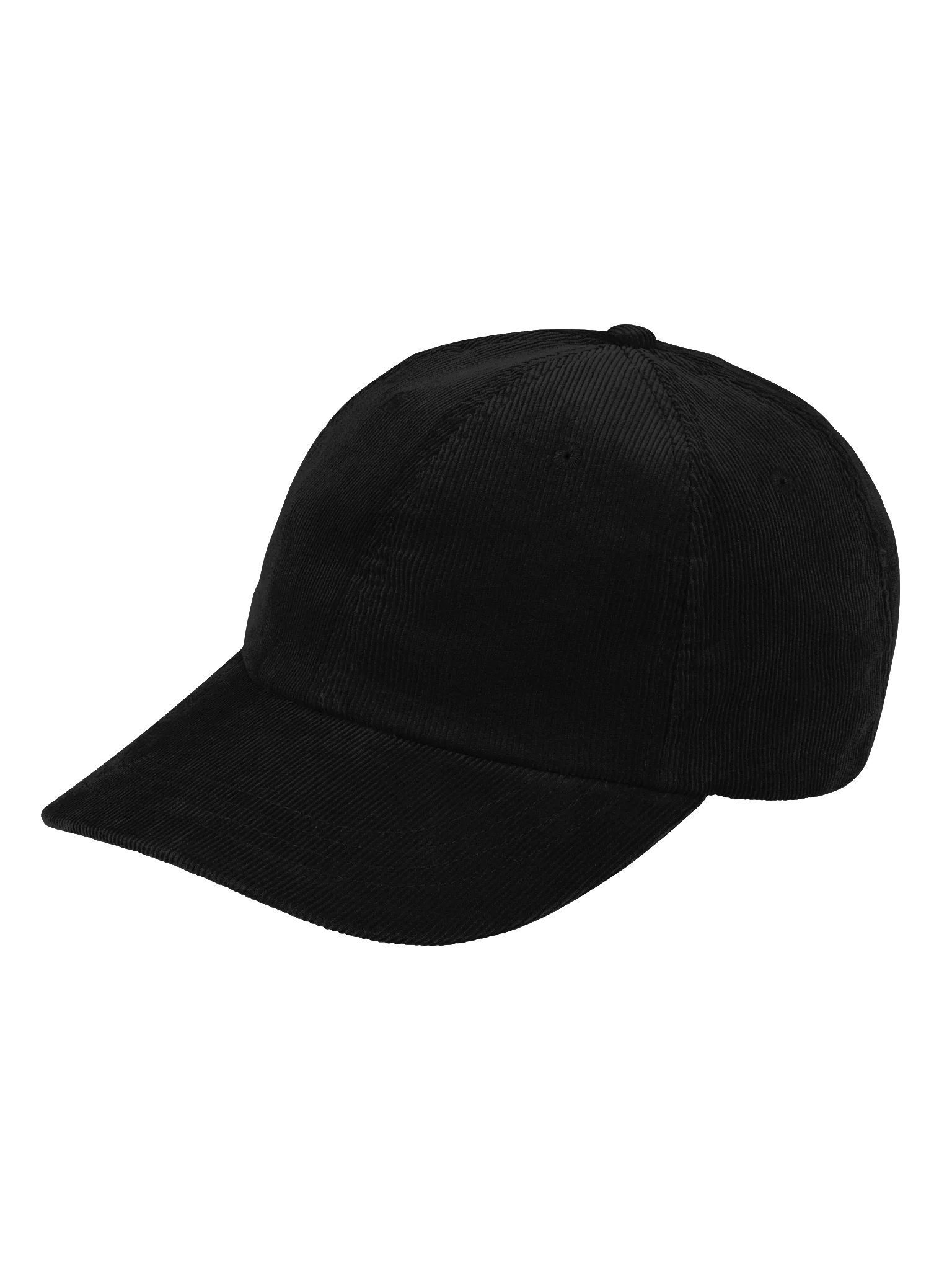 TDSA Dad Hat product image (3)