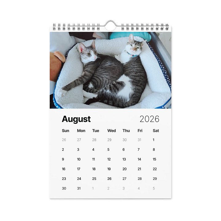 Mei & Mimi 2026 Wall Calendar product image (2)